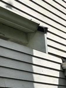 Siding Repair Service in Bellevue